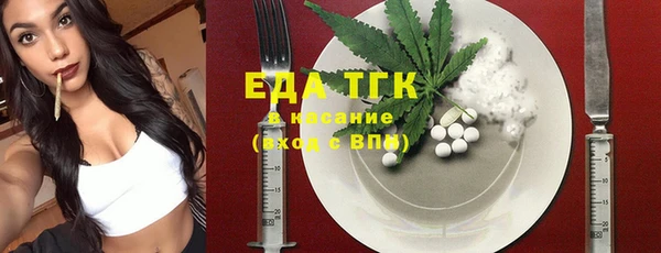 индика Верхний Тагил