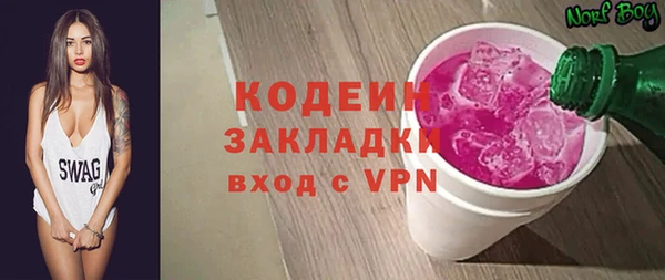 индика Верхний Тагил