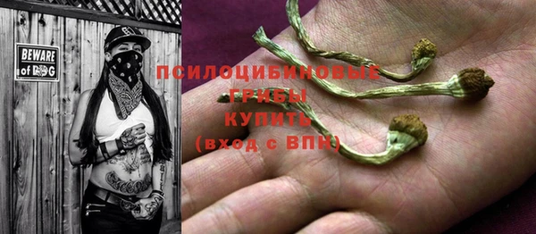 индика Верхний Тагил