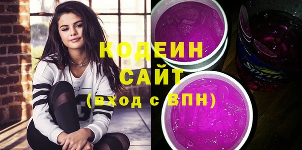 индика Верхний Тагил