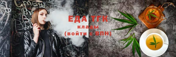 индика Верхний Тагил