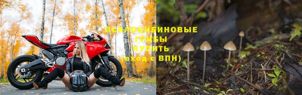 индика Верхний Тагил